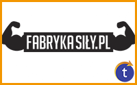 Fabrykasily